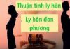 Ly hôn thuận tình, đơn phương theo quy định của Việt Nam